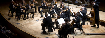 The Ferenc Liszt Chamber Orchestra
