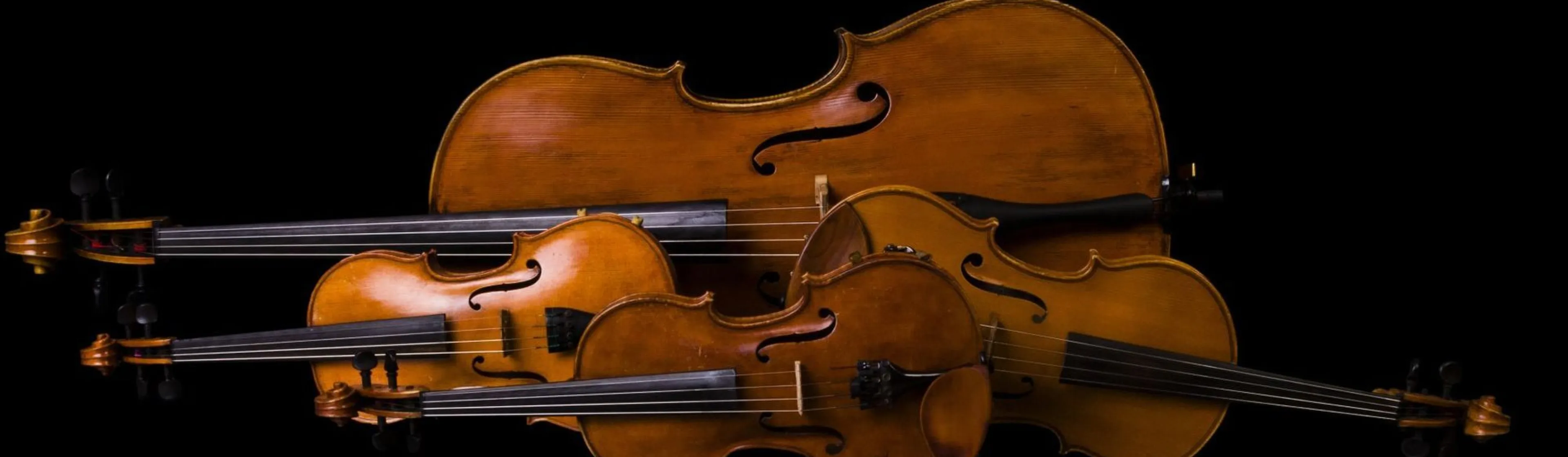16851_utazasok_symphoniaba_vonosok_170121_01.jpg