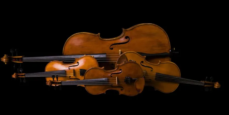 16851_utazasok_symphoniaba_vonosok_170121_01.jpg