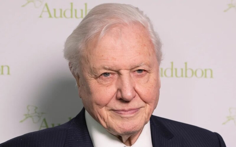david_attenborough.jpg