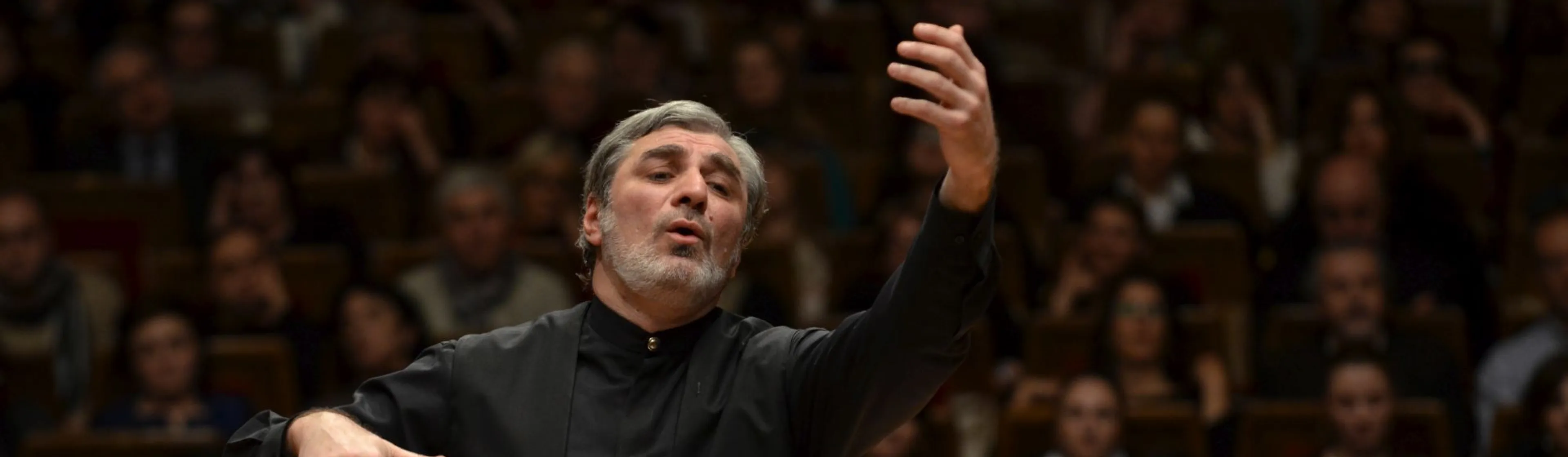 31458_liszt_unnep_vakhtang_kakhidze_budafoki_dohnanyi_zenekar_261017_01.jpg