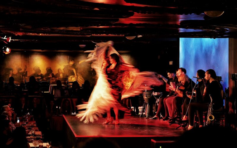 flamenco_xiaoqian-shen_unsplash.jpg