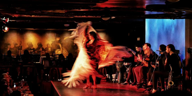 flamenco_xiaoqian-shen_unsplash.jpg