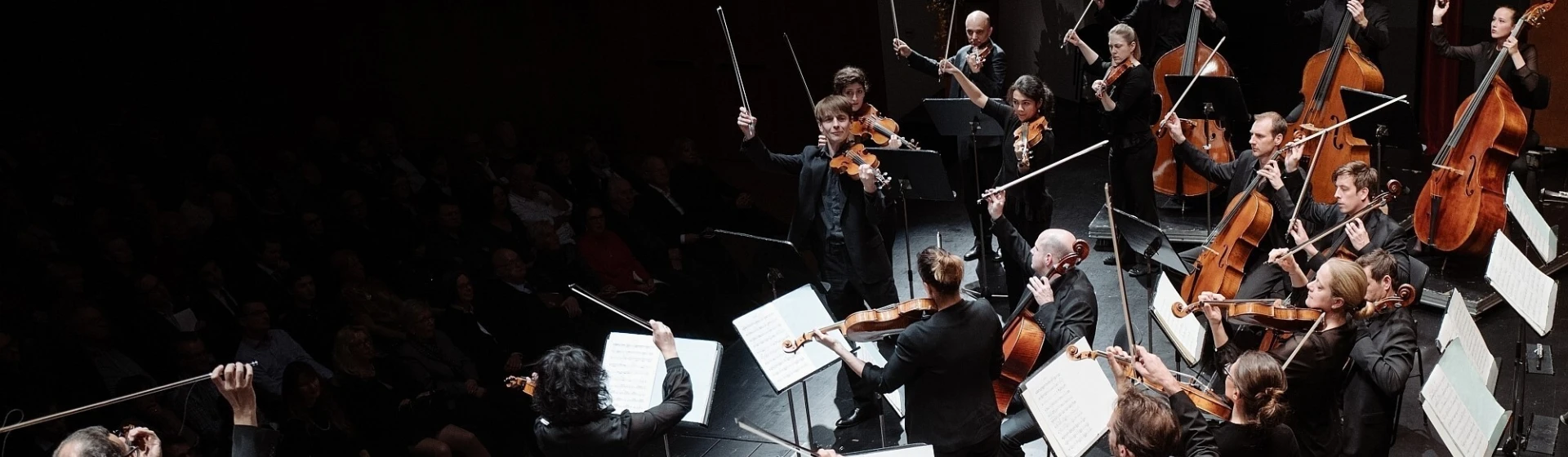 21015_machler_chamber_orchestra_210224_02.jpg