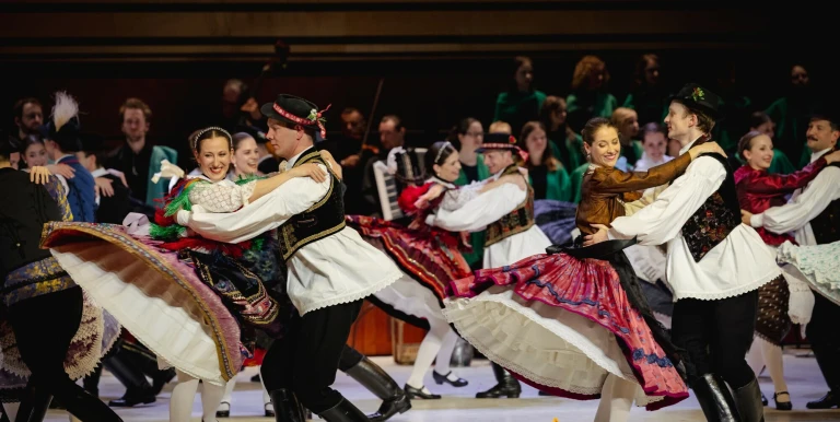 28331_magyar_allami_nepi_egyuttes_kiviragzott_keresztfaja_240331_01.jpg