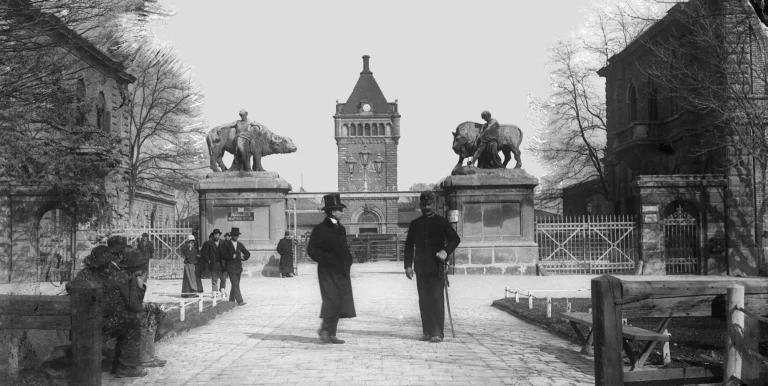 Soroksari_ut_Kozvagohid_Fortepan--Deutsche-Fotothek--Brück-und-Sohn.jpg
