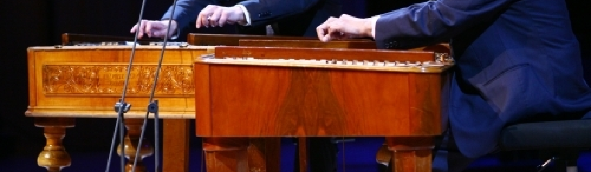 11375_vilagraszolo-az-ezerarcu-cimbalom.jpg